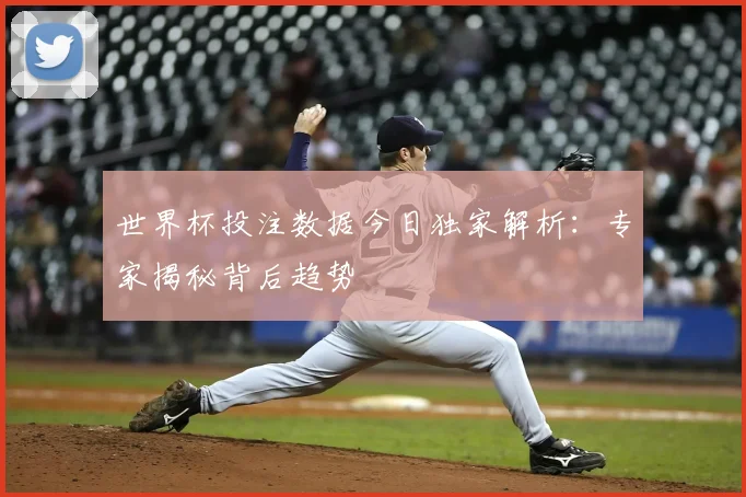 世界杯投注数据今日独家解析:专家揭秘背后趋势