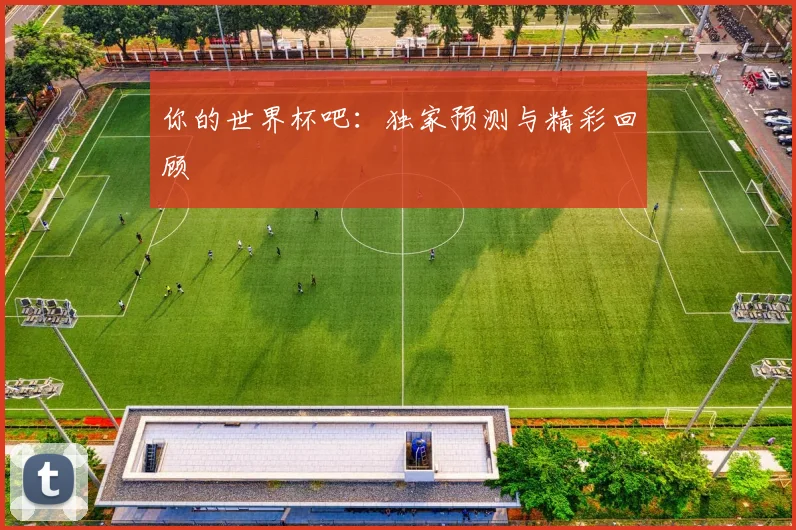 你的世界杯吧:独家预测与精彩回顾
