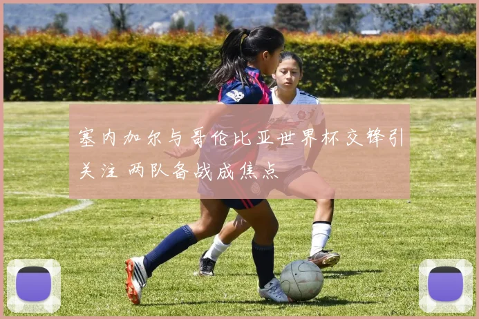 塞内加尔与哥伦比亚世界杯交锋引关注 两队备战成焦点
