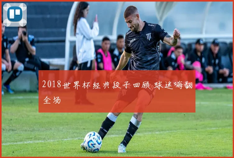 2018世界杯经典段子回顾 球迷嗨翻全场
