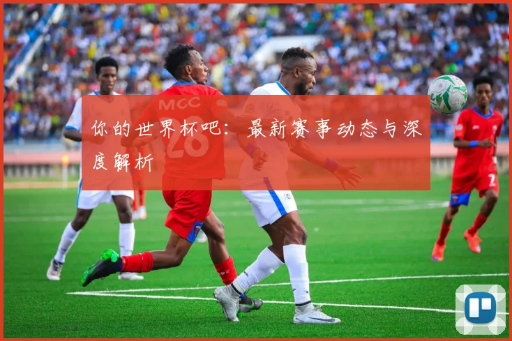 你的世界杯吧:最新赛事动态与深度解析