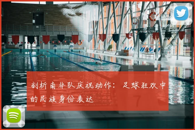 剖析南非队庆祝动作：足球狂欢中的民族身份表达