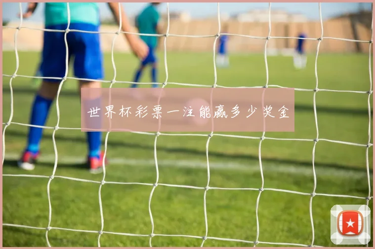 世界杯彩票一注能赢多少奖金
