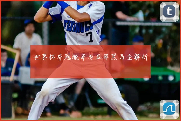 世界杯夺冠概率与亚军黑马全解析