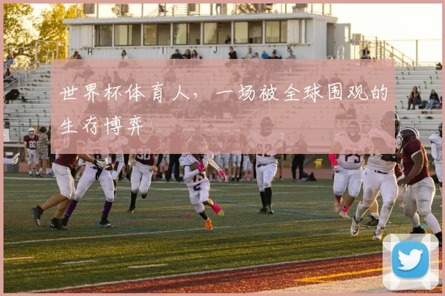 世界杯体育人,一场被全球围观的生存博弈