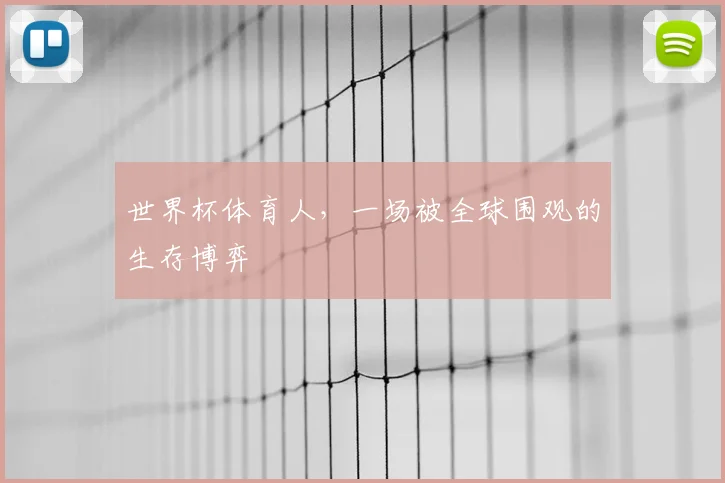 世界杯体育人，一场被全球围观的生存博弈