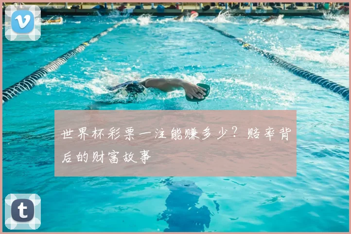 世界杯彩票一注能赚多少?赔率背后的财富故事